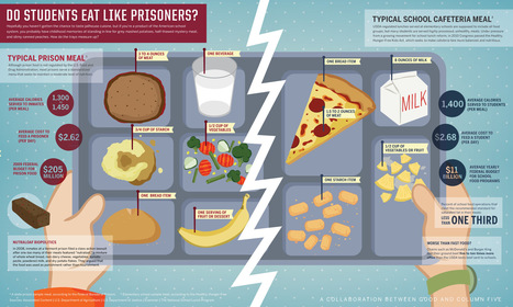 School Food vs Prison Food | Daily Infographic | World's Best Infographics | Scoop.it