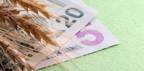 AGRICULTURE : Un commerce agricole plus équitable, mais à quel prix ? | CIHEAM Press Review | Scoop.it