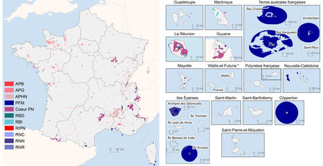 Les territoires fran&ccedil;ais couverts par les dispositifs de protection forte de la biodiversit&eacute; au 1er janvier 2026 - Donn&eacute;es et &eacute;tudes statistiques | Biodiversit&eacute; | Scoop.it