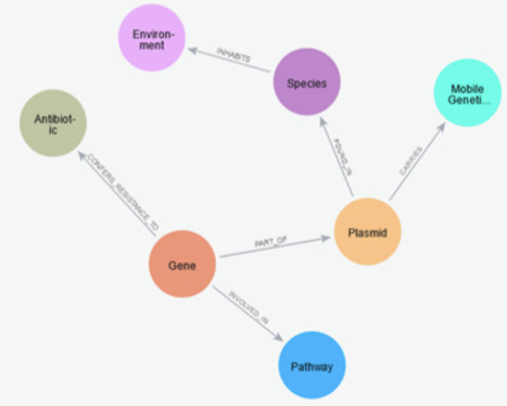 Knowledge Graph-Based Framework for Detecting Horizontal Gene Transfer Events Driving Antimicrobial Resistance | Brvbi | RMH | Scoop.it
