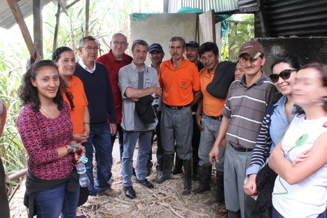 A new evaluation of the FLOK experience in Ecuador: what&rsquo;s next? - Commons Transition | Peer2Politics | Scoop.it