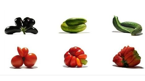 Apr&egrave;s les l&eacute;gumes moches, les Gueules cass&eacute;es arrivent dans tous les rayons | Paysage - Agriculture | Scoop.it
