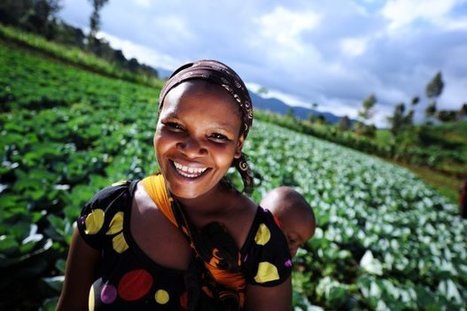 Building climate resilience in the African agriculture sector | Climate Change & DRR in East Africa | Scoop.it