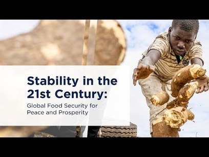 Stability in the 21st Century: global food security for peace | DURABILITES | Scoop.it