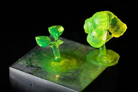 Researchers upcycle lignin for sustainable 3D printing with economics in mind | 3DM-Shop news | Scoop.it