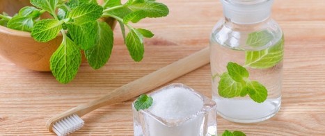 Les plantes qui soignent aphte, mauvaise haleine ou petit mal de dent | La Cabane aux Arômes | Scoop.it
