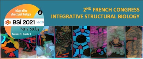 SAVE THE DATE - 2nd French congress on Integrative Structural Biology Paris-Saclay - November 29 to December 3, 2021 | Life Sciences Université Paris-Saclay | Scoop.it