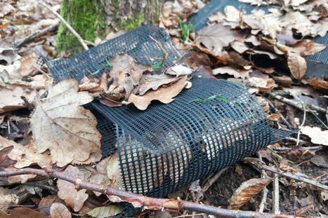 Des tonnes de plastique souillent les forêts des Yvelines | Paysage - Agriculture | Scoop.it