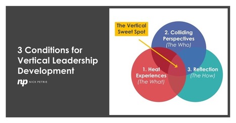 3 Conditions for Vertical Development | Adaptive Leadership and Cultures | Scoop.it
