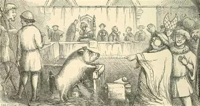 Cerdos en el pat&iacute;bulo, ratas con abogado: la &eacute;poca en que los animales eran juzgados como personas &ndash; Criminolog&iacute;a | Rafael Barzanallana | Scoop.it