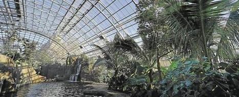 Le mythique zoo de Vincennes a enfin fait peau neuve | Actualités parcs de loisirs | Scoop.it