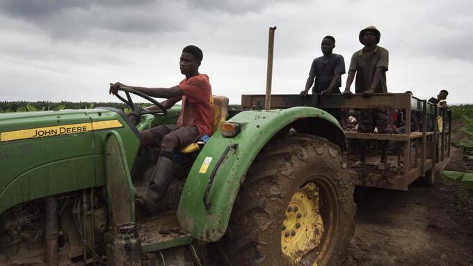 La dépendance alimentaire de l'Afrique subsaharienne pourrait s'aggraver à l’horizon 2050