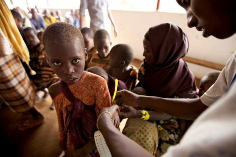 UN refugee agency: more displaced Somalis citing difficulty in providing for themselves | Food & Nutrition Security in East Africa | Scoop.it