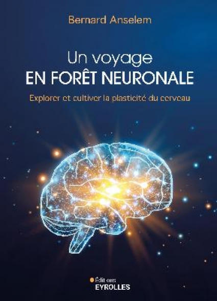Un voyage en for&ecirc;t neuronale - Educavox, Ecole, p&eacute;dagogie, enseignement, formation | FLE C&Ocirc;T&Eacute; COURS | Scoop.it