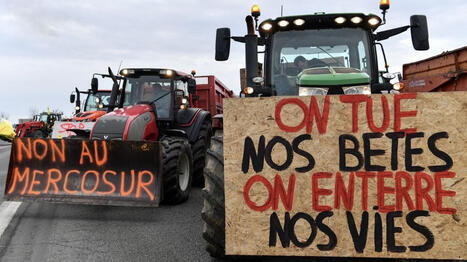 Col&egrave;re des agriculteurs&nbsp;: alors que le gouvernement demande une "tr&ecirc;ve" de No&euml;l, les syndicats peuvent-ils lever les blocages&nbsp;? | Accueil | Scoop.it