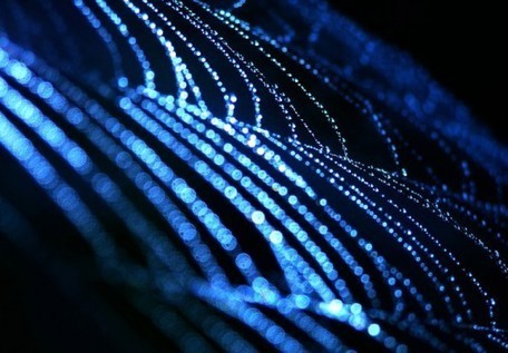 Scientists Create Biodegradable Computer Chips from Spider Silk! | Biomimicry | Scoop.it