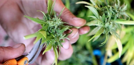 DANS LE D&Eacute;TROIT DE GIBRALTAR, &Agrave; LA POURSUIRTE DU HASCHICH MAROCAIN | Nouvelles du Maghreb | Scoop.it