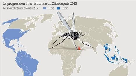 Zika : 6 mois de préservatif en rentrant d'un pays à risque | sida | Scoop.it