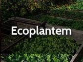 Crowdfunding - Plantaci&oacute;n de encinas en S. Sebasti&aacute;n de los Reyes #sanse | #Campoo y Sur de #Cantabria | Scoop.it