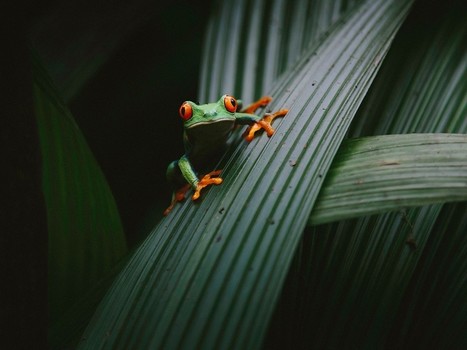 National Geographic Photo Of The Day | 1Uutiset - Lukemisen tähden | Scoop.it