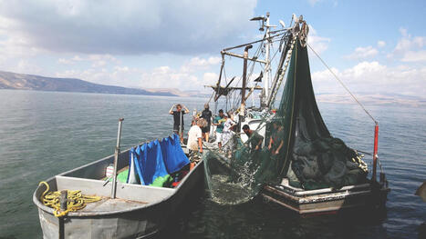 Israeli Troops Turn To Fishing Nets For Protection Against Hezbollah FPV Drones | DEFENSE NEWS | Scoop.it