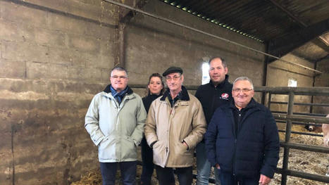 Parthenay : le concours Apocab les 7 et 8 décembre au marché aux bestiaux | Actualité Bétail | Scoop.it