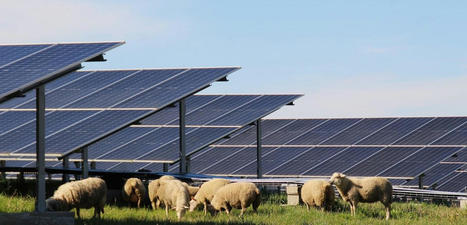 Gironde Energies. L’électricité solaire avance à la campagne | L'actualité de l'énergie en Gironde | Scoop.it