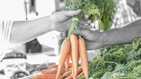Circuits courts, vente directe. Et après le boom de la crise Covid ? - Terre-net | Agriculture et Alimentation Durable Méditerranéenne | Scoop.it