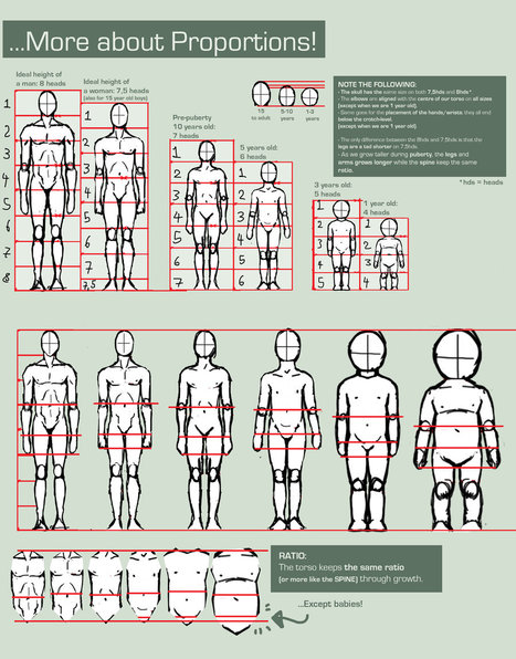 Proportions Guide | Drawing References and Resources | Scoop.it