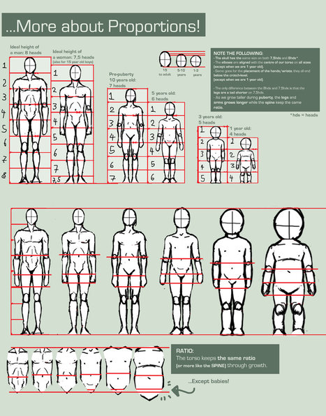 anatomy reference', 'reference guide' in Drawing References and Resources