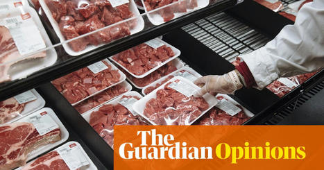 The Guardian view on farming’s green transition: the politics aren’t looking good | Editorial | The Guardian | Microeconomics: IB Economics | Scoop.it