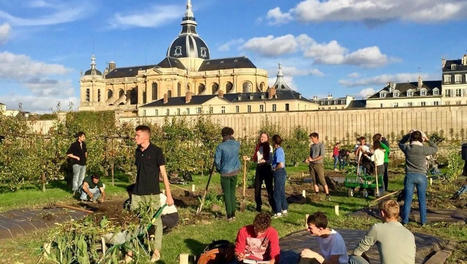Des paysagistes pour ménager les territoires ! | France Culture | La SELECTION du Web | CAUE des Vosges - www.caue88.com | Scoop.it