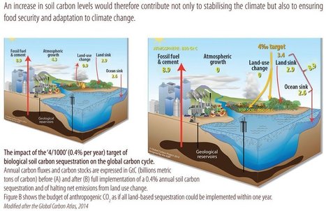 Soils for food security and the climate The "4 parts per 1000" initiative ... | Life Sciences Université Paris-Saclay | Scoop.it
