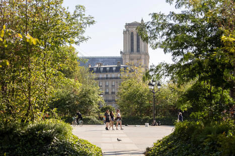 Quel bilan pour les nouvelles &laquo;&nbsp;for&ecirc;ts urbaines&nbsp;&raquo; de la Ville&nbsp;de&nbsp;Paris&nbsp;? | Cdurable.info | Nature en ville | Scoop.it