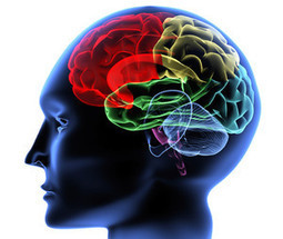 Consejos para tratar la deficiencia de serotonina | Trinomio Perfecto: Salud, Dinero y Amor | Scoop.it
