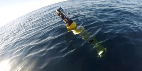 Marine heatwaves disrupt ocean food webs and slow carbon transport • Muser Press | Industry 411 - Waste Management | Scoop.it
