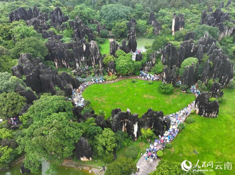 Yunnan’s Shilin (Stone Forest), a... - People's Daily, China | Kunming-Yunnan | Scoop.it