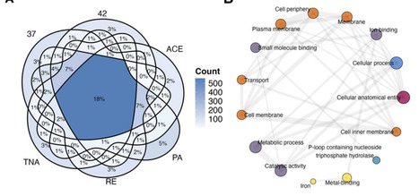 DNA methylation in Escherichia coli changes in response to growth conditions | brvsys | RMH | Scoop.it