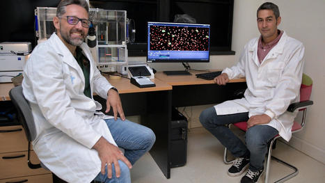Identifican nuevos genes humanos cruciales para la infección por el virus causante de la covid-19 | Enfermedades y Salud | Scoop.it