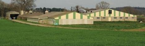 En Europe, le porc français est compétitif mais peu dynamique - 06-02-2014 - REUSSIR PORC | SCIENCES DE L' ANIMAL | Scoop.it