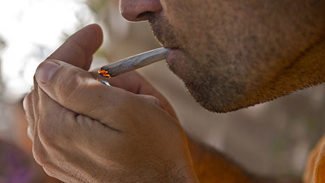 Children taken from medical marijuana-prescribed parents in California | Beckley News : Cannabis - Marijuana | Scoop.it