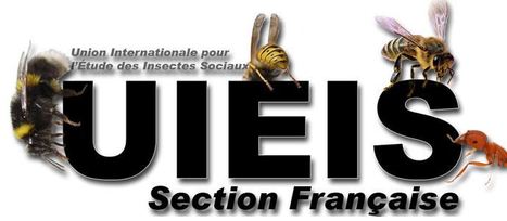 UIEIS 2013 : Les abstracts - Les photos du colloque | Insect Archive | Scoop.it