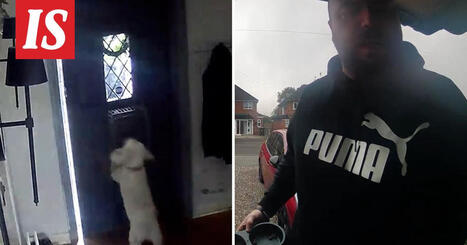 Britanniassa koira lukitsi omistajansa ulos | 1Uutiset - Lukemisen tähden | Scoop.it