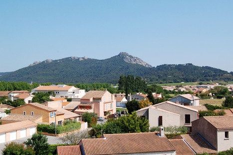 Un premier cas autochtone de chikungunya détecté en métropole en 2025, dans le Var | Les Colocs du jardin | Scoop.it