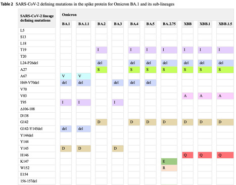 SARS-CoV-2 Journey: from Alpha Variant to Omicron and its Sub-Variants  | Virus World | Scoop.it