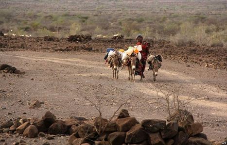 DJIBOUTI | Reeling from several years of drought | Climate Change & DRR in East Africa | Scoop.it