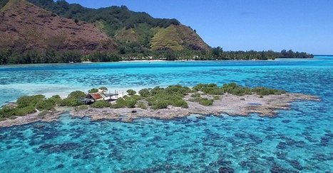 Zones taboues, la mer en jachère | Biodiversité | Scoop.it