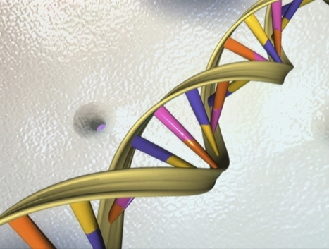 In the Future, Your DNA May be the Only Hard Drive You'll Ever Need | Science News | Scoop.it