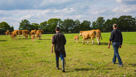 Agriculture : Terrena redéfinit avec ses salariés et adhérents ses priorités environnementales | Actualité Bétail | Scoop.it