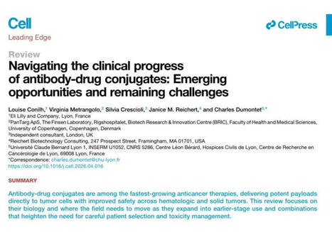 #adc #bispecificadc #dualpayload #linkerchemistry #drugdevelopment #oncology | Intissar Akalay, Ph.D. | Immunology and Biotherapies | Scoop.it